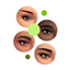 The Brow Set logo