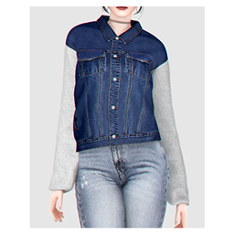 Denim Jacket (Fur&Leather Sleeves)