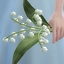 lily of the valley  accessory logo