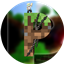 Pluton logo