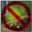 No Fume Garlic logo