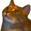 Tiny head SMP logo