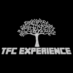 TerraFirmaCraft Experience project image