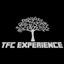 TerraFirmaCraft Experience logo
