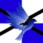Platohouse Mayhem logo
