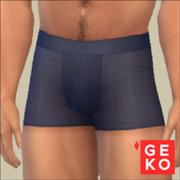 Back To Basics Boxer Briefs logo