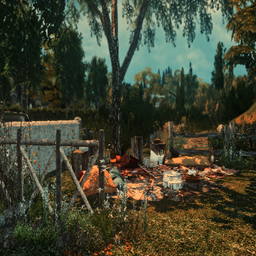 Picnic Day