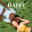 oakiyo - Daisy Collection