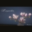 Magnolia logo
