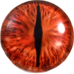 ProfessionDataInitializer logo