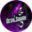 Dev's Medieval logo