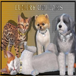 Luxury Pet Collars