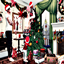 CHRISTMAS SHINE logo