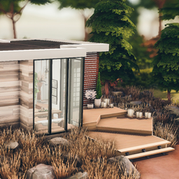 Tiny Beach House