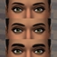 Evergreen Eyebrows logo