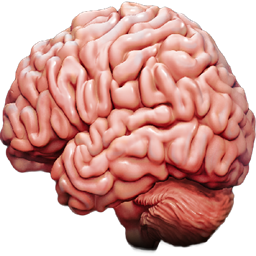 Ow, My Head logo
