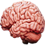 Ow, My Head logo