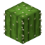 Survive in only a Desert logo