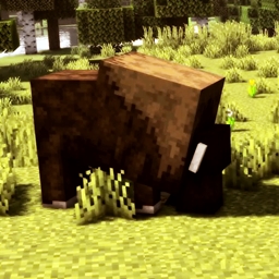 Dungeons and Dogs 