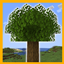 Varietree logo