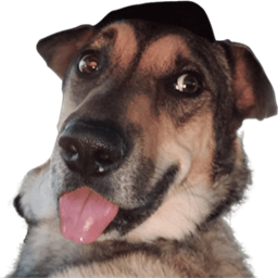 Roman: Guild Recruitment Barker project image
