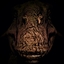 Wasteland Dragons logo