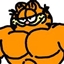 Garfield's hide & seek logo
