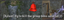 Chat Watch logo