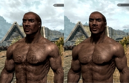 I Wash - New Skin for Skyrim project avatar