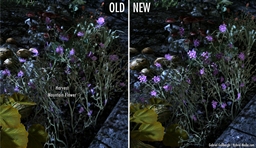 Hybrids Hires Plants and Herbs Retexture WIP project avatar