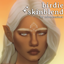 birdie skinblend logo