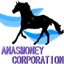 Anas$money: Series logo