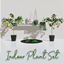 Indoor Plants Set logo