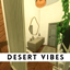 Desert Vibes Shower Room logo
