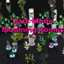 Dark Mode Blooming Rooms logo