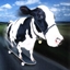 Cow Town Craftin' logo