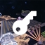 Cheat Console logo