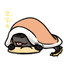Lost Cities Potato Edition logo