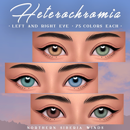 Heterochromic Eyes (N27) project image