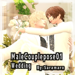Couple Pose01-Wedding logo