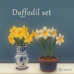 Daffodil set by pocci logo