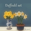 Daffodil set by pocci logo