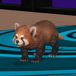 Red Panda skin