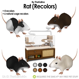 Rat (Recolors)
