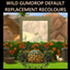 Wild Gumdrop Plant Default Replacements logo