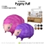 Pygmy Puffs logo
