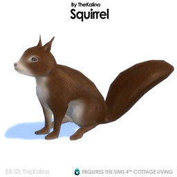 Squirrel logo