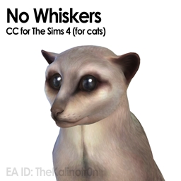 No Whiskers for Cats