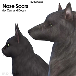 Nose Scars