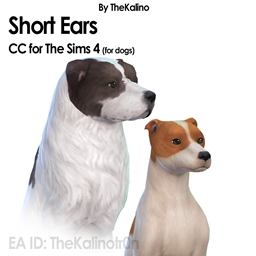 Short Ears